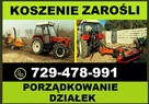 Usuwanie Pni Korzeni Usługi Ogrodnicze Skawina Kraków - 9