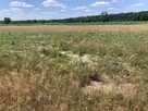 Działka . - 6