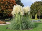 Usługi Ogrodnicze - Kompleksowe zagospodarowanie terenu - 7