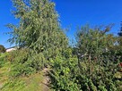 Działka blisko Nałęczowa z rozpoczętą budową domu! - 5