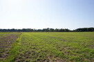 Duża działka nad jeziorem Krasne pod inwestycję - 3