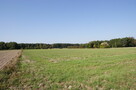 Duża działka nad jeziorem Krasne pod inwestycję - 5