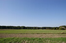 Duża działka nad jeziorem Krasne pod inwestycję - 13