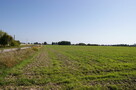 Duża działka nad jeziorem Krasne pod inwestycję - 9