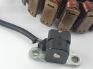 Stator Stojan Alternator Yamaha Rx1 Warrior Vector Mountain - 6