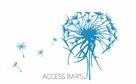 Access Bars Olsztyn - dotyk uwalniający od stresów - 1