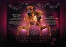 Rhodesian ridgeback - 16