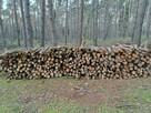 Drewno opałowe Sosna cienka i gruba sucha - 2