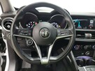 Stelvio - 7