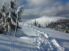 Ferie w górach noclegi w zabytkowej Willi. - 13