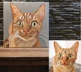 Portret psa (kota) farbami na płótnie na zmówienie - 8