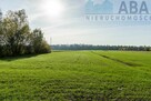 Działki rolne o powierzchni 2,04 ha gm. Kościelec - 4