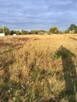 Działkę - sprzedam - 3