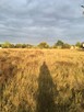 Działkę - sprzedam - 2
