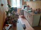 Opróżnianie sprzątanie mieszkań garaży piwnic PSZOK - 12