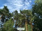 Klimatyczna działka Józefów las zachodnia strona - 4