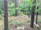 Klimatyczna działka Józefów las zachodnia strona - 3