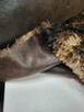 Eko skóra z futerkiem w odcieniach brązu i bezu - 6