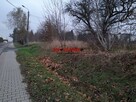 Działka budowlana Czyżowice gm. Gorzyce - 3