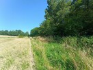 Działka rolno-budowlana Przebieczany gm. Biskupice - 5