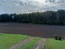 Działka rolno-budowlana Przebieczany gm. Biskupice - 6