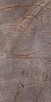 Fornir kamienny Rainforest Brown tapeta 122x61x0,2cm - 1