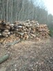 Drewno opałowe - 2