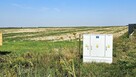 Działka budowlana blisko zalewu w Pałecznicy - 6