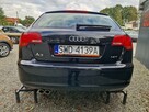 Audi A3 SERWISOWANY. 5-DRZWI. KLIMATRONIC - 7