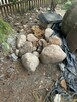 Oddam kamienie na skalniak - 2