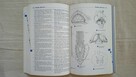 Pocket atlas od Human Anatomy W. Daubler - 2