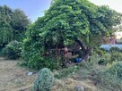 SPRZEDAM DZIAŁKE /OGRÓDEK - 5