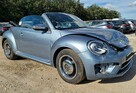 vw beetle coccinelle - 11