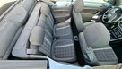 vw beetle coccinelle - 15