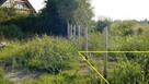 Działka Korzystno gm. Kołobrzeg - 700 m - 11