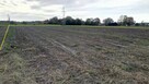 Działka Kołobrzeg Stramnica - 10