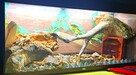 TERRARIUM - 3