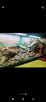 TERRARIUM - 7
