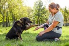 Lady-staruszek już 12 lat czeka na dom-pilna adopcja - 3