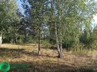 Działka w malowniczej okolicy - 1