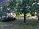 sprzedam 3 pok. mieszkanie, Konin os. Chorzeń - 14