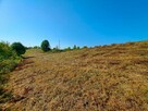 Widokowa działka pod zabudowę jednorodzinną 28,15ar Markowce - 8