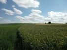 Działka 32a pod zabudowę jednorodzinną, gm. Garbów - 4