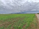 Atrakcyjna duża działka budowlana Tarnowo Podgórne - 15