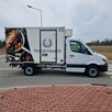 Sprinter 316 cdi  Chłodnia Mroźnia agregat v500max - 4