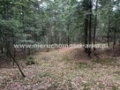 Działka leśna Pogorzany gm. Jodłownik - 4