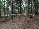 Działka leśna Pogorzany gm. Jodłownik - 5