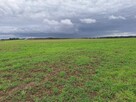 Atrakcyjna duża działka budowlana Tarnowo Podgórne - 13