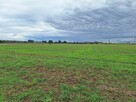 Atrakcyjna duża działka budowlana Tarnowo Podgórne - 4