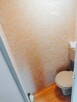 Odsprzedam działkę z domkiem holenderskim całoroczny dzierża - 7